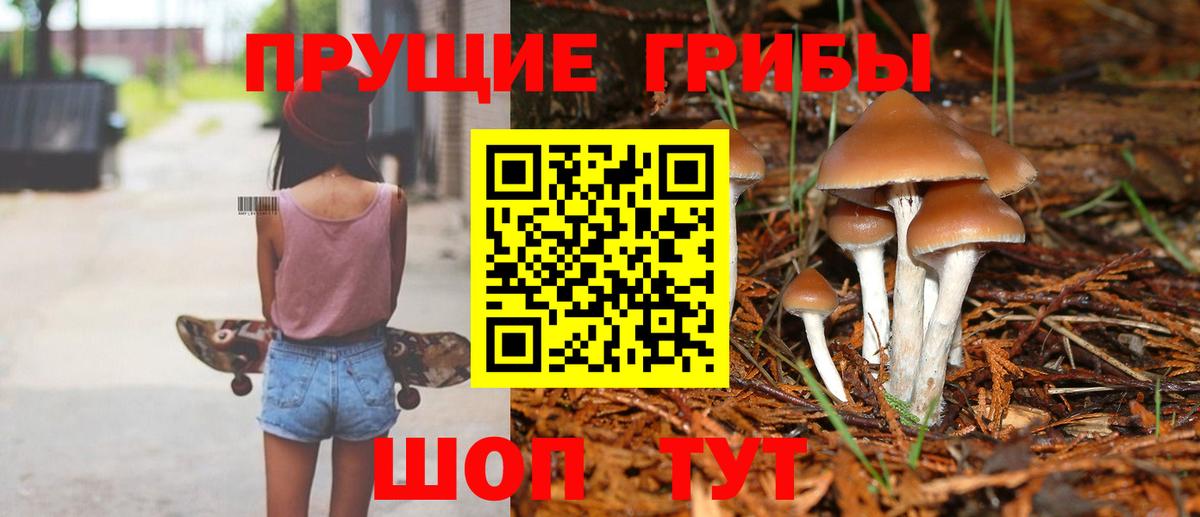 наркошоп  Псилоцибиновые грибы прущие грибы  Тобольск  Вход с VPN  Псилоцибиновые грибы GOLDEN TEACHER 